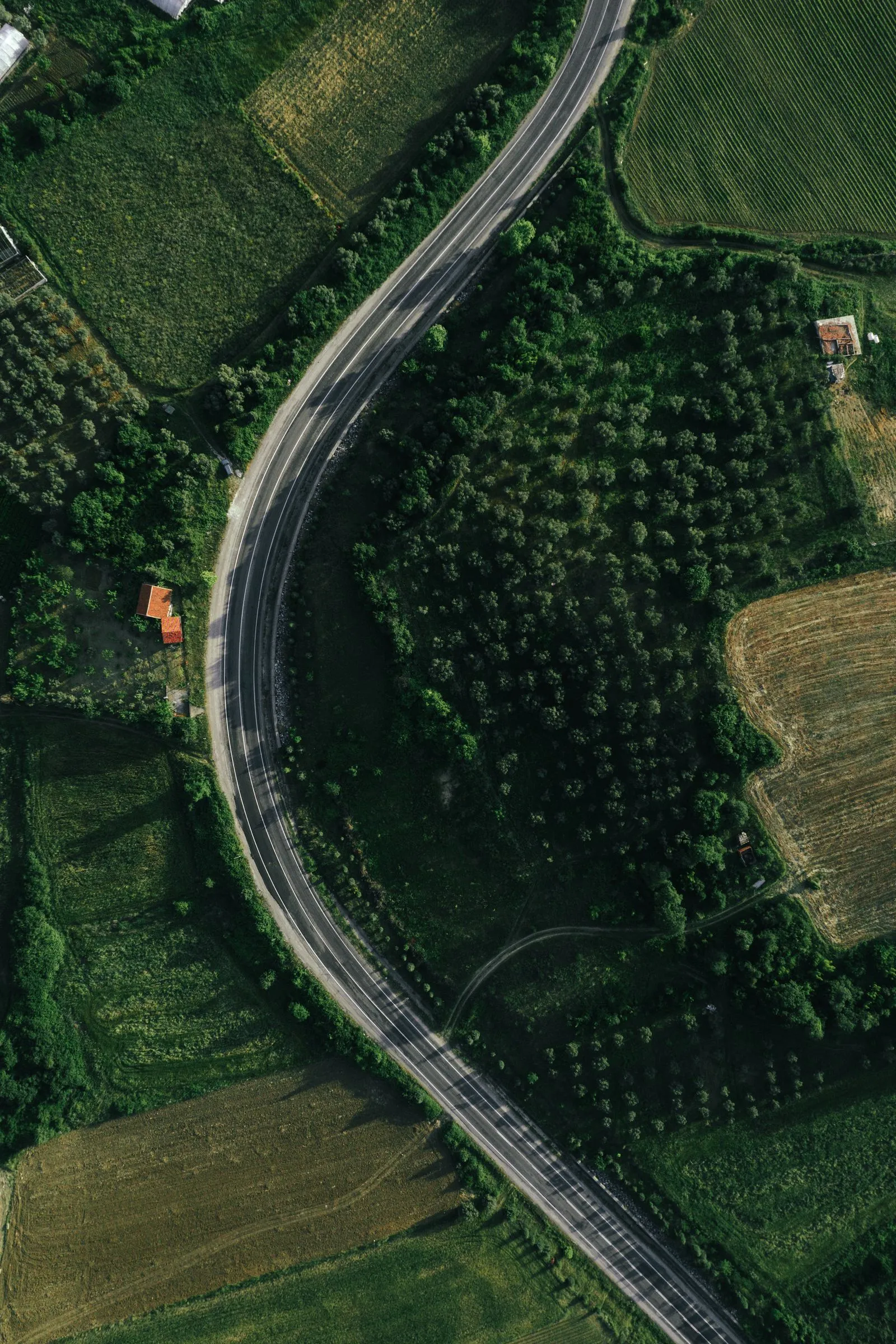Havadan drone ile çekilmiş kıvrımlı yol ve tarım arazileri
